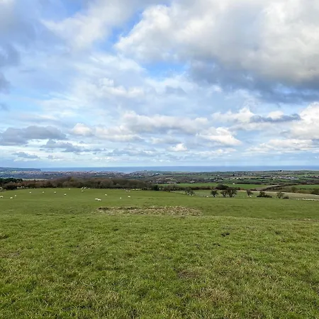 Cart Shed - Uk41245 Hawsker