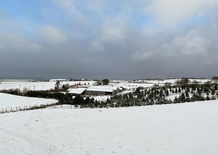 Cart Shed - Uk41245 Vakantiehuis